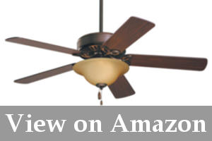 best ceiling fan with lights reviews