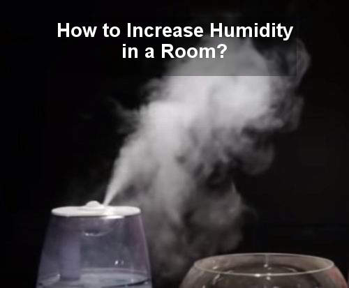 How to Increase Humidity in a Room?