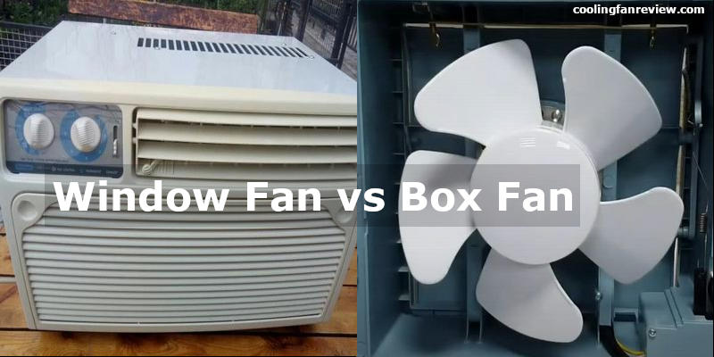 window-fan-or-box-fan